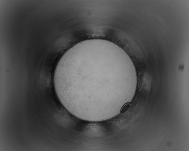 X0000102860704200809081306