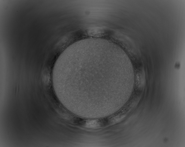 X0000102860705200809081306