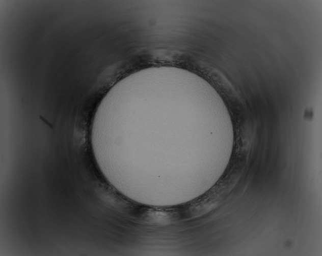 X0000102860706200809081306