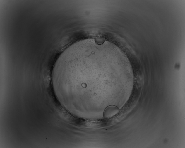 X0000102860707200809081306