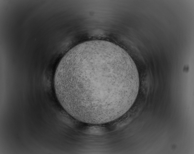 X0000102860708200809081306