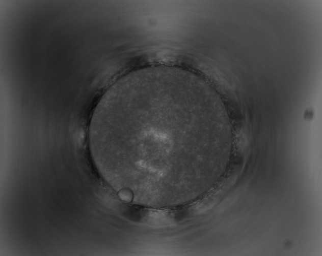 X0000102860709200809081306