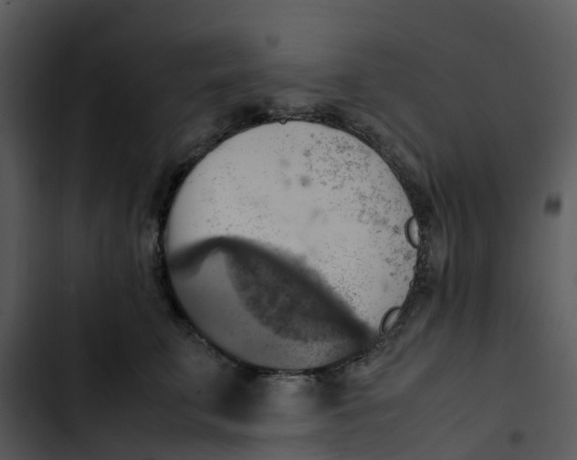 X0000102860711200809081306