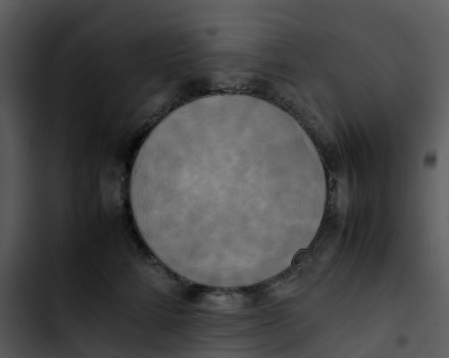 X0000102860712200809081306