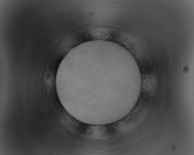 X0000102860713200809081306