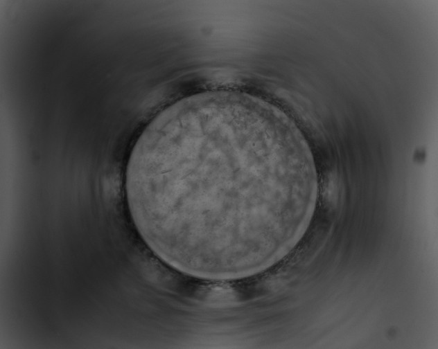 X0000102860715200809081306