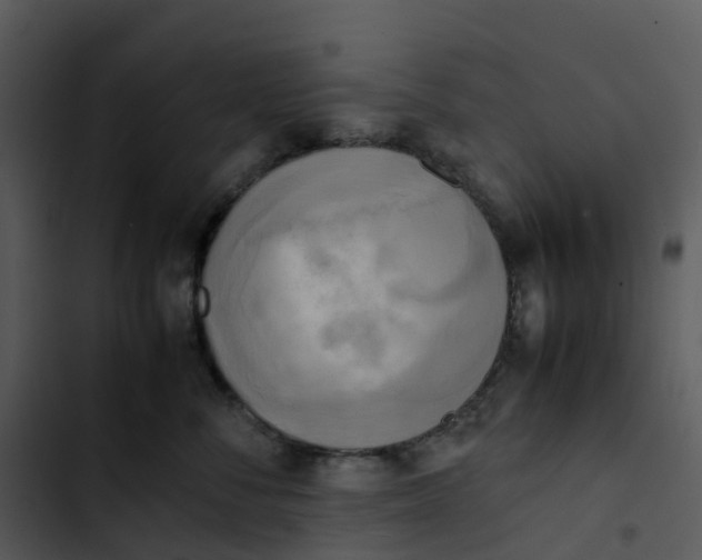 X0000102860716200809081306