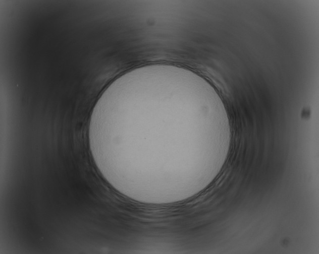 X0000102860717200809081306