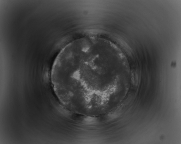 X0000102860718200809081306