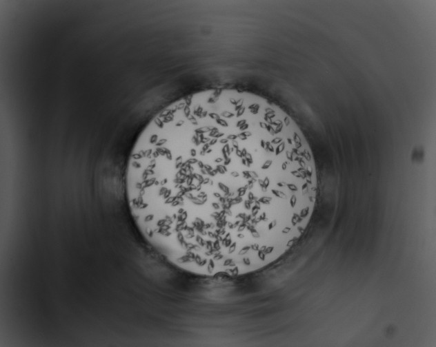 X0000102860719200809081306