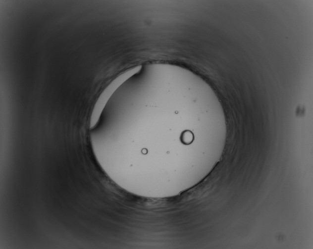 X0000102860720200809081306