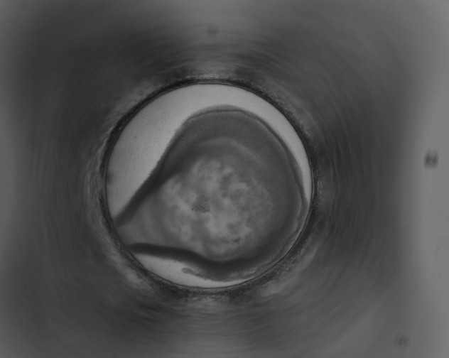 X0000102860721200809081305