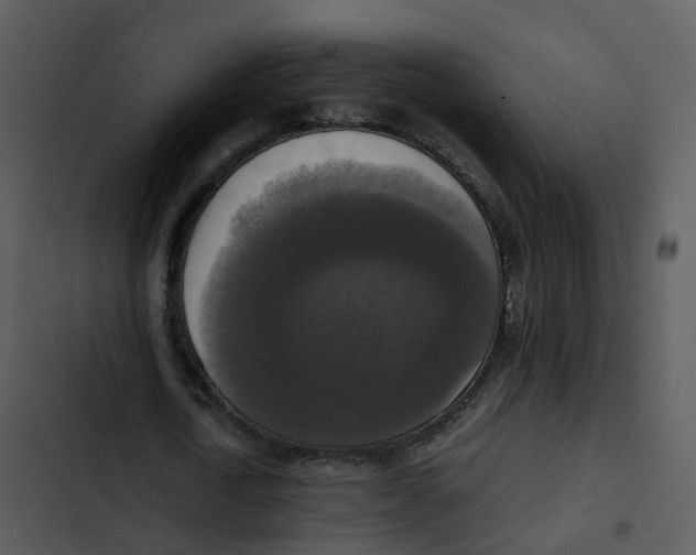 X0000102860722200809081305