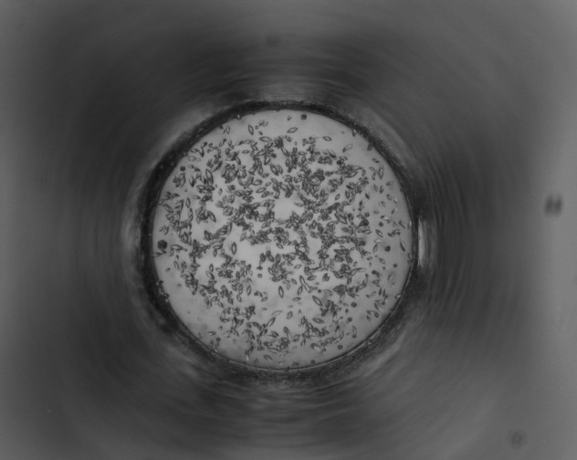 X0000102860723200809081305