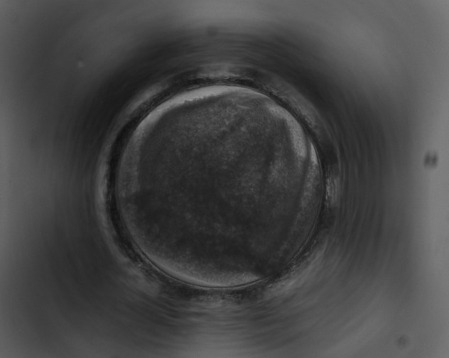 X0000102860724200809081306