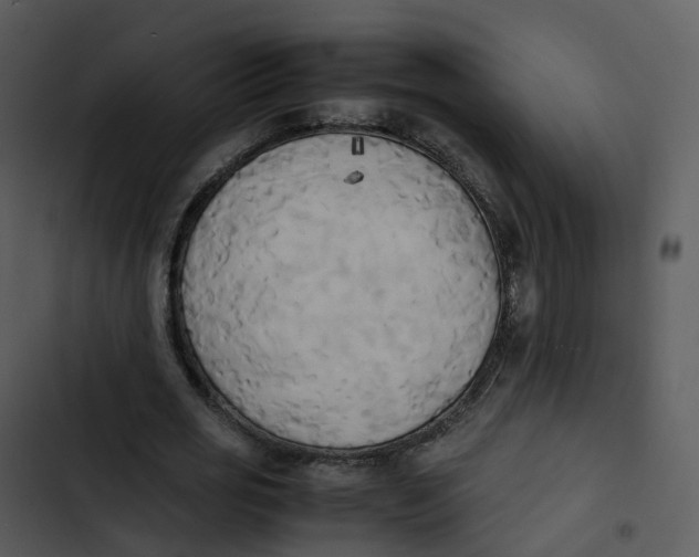 X0000102860725200809081306