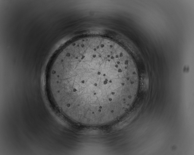 X0000102860726200809081306