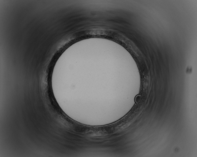 X0000102860727200809081306