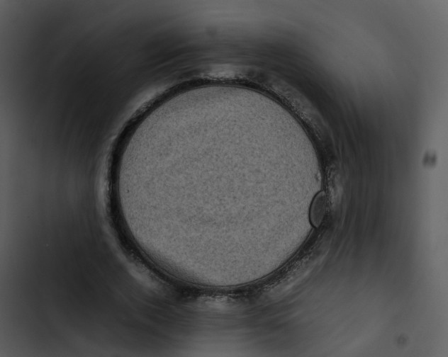 X0000102860728200809081306