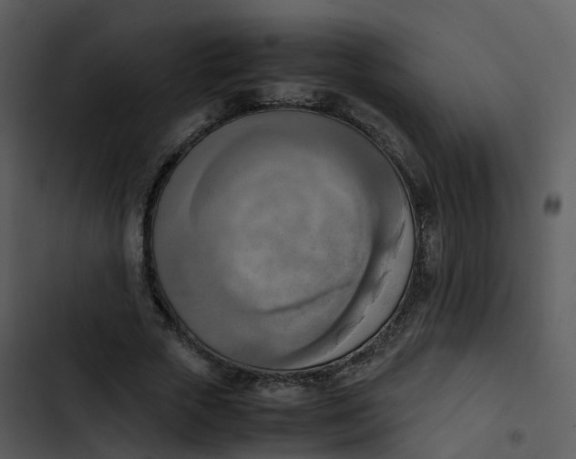 X0000102860729200809081306