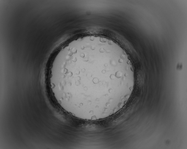 X0000102860730200809081306