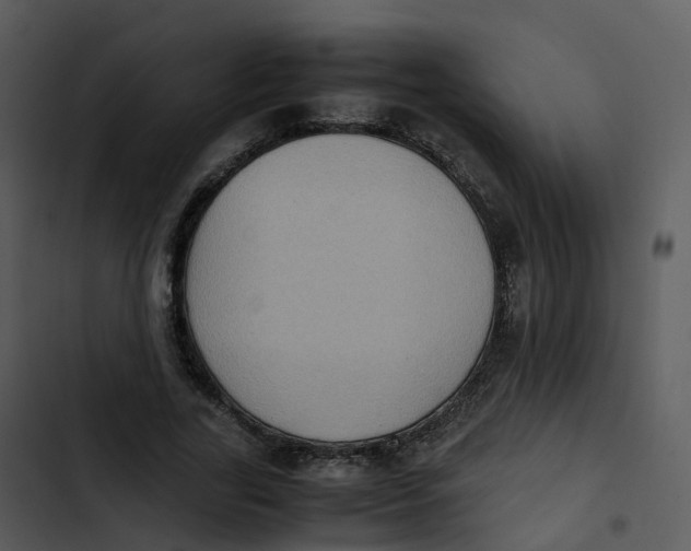 X0000102860731200809081306