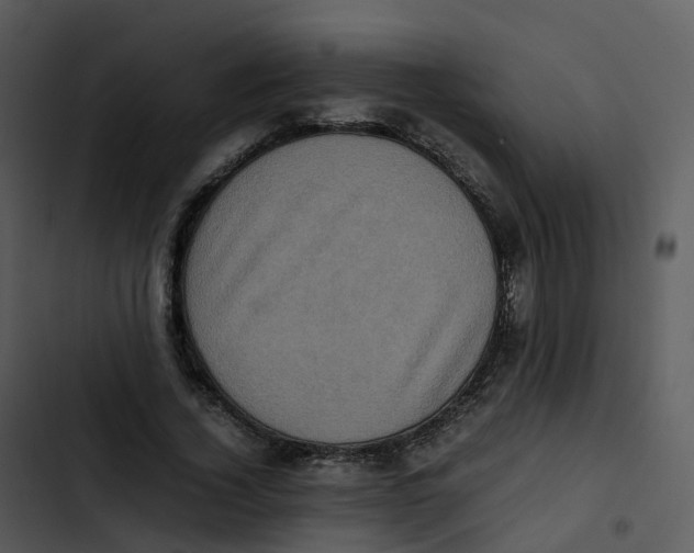 X0000102860732200809081306