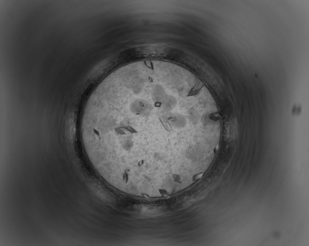 X0000102860733200809081306