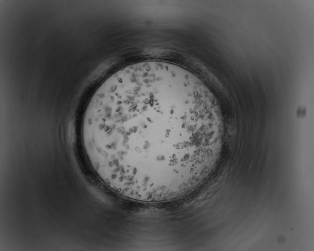 X0000102860734200809081306