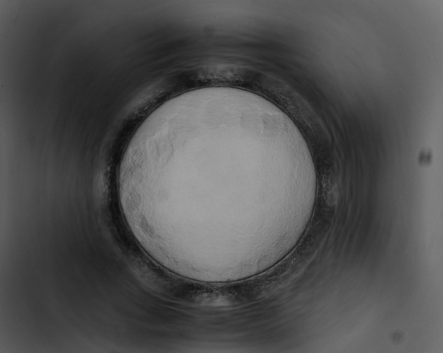 X0000102860735200809081306