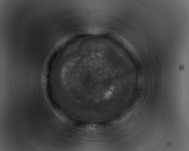 X0000102860736200809081306