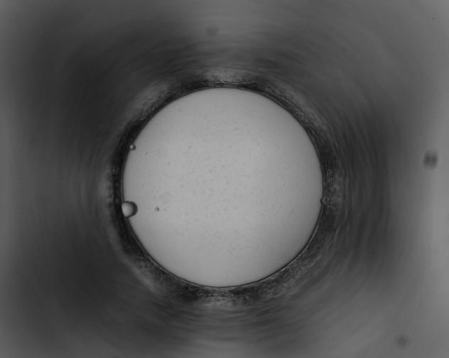 X0000102860738200809081306