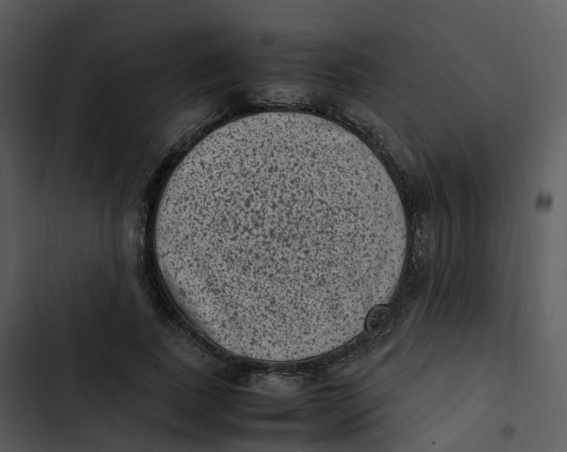 X0000102860739200809081306