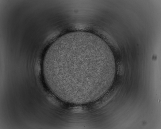 X0000102860740200809081306