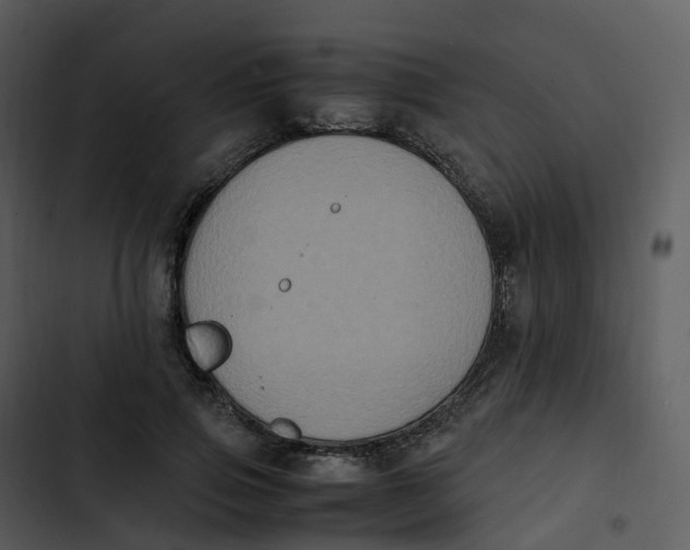 X0000102860741200809081306