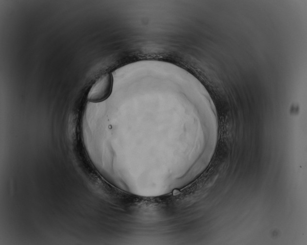 X0000102860742200809081306