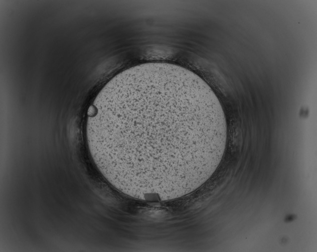 X0000102860743200809081306