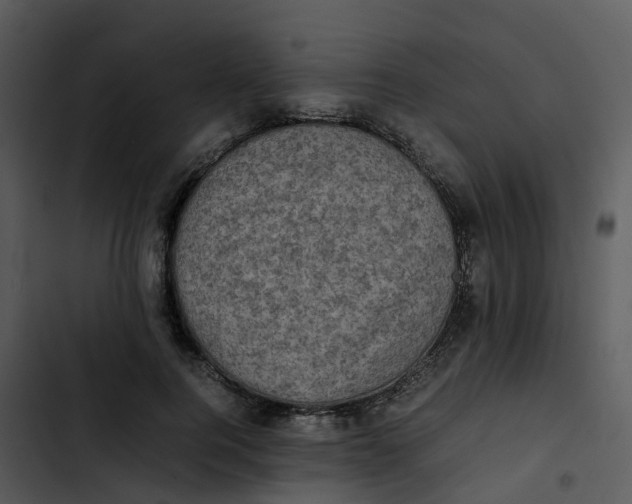 X0000102860744200809081306