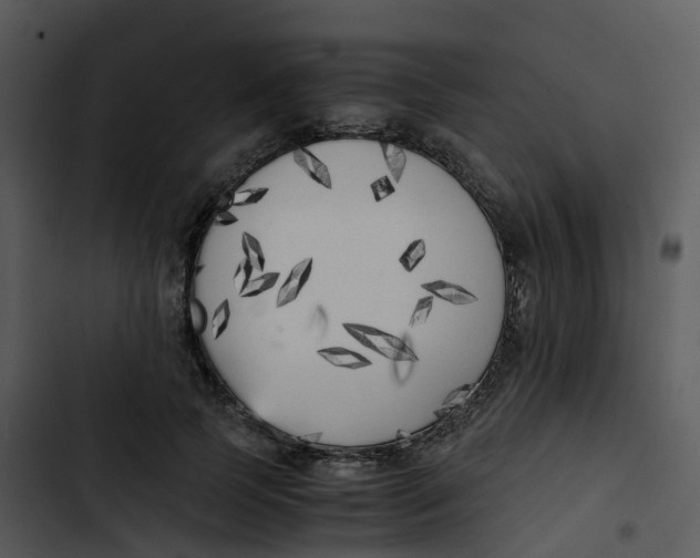 X0000102860745200809081306