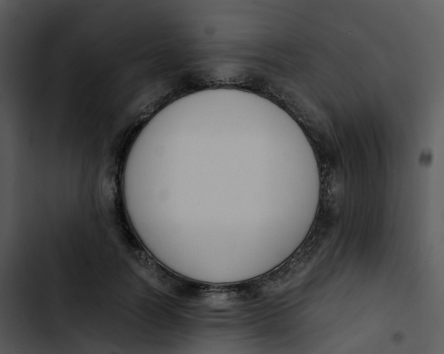 X0000102860746200809081306