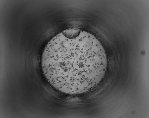 X0000102860747200809081306