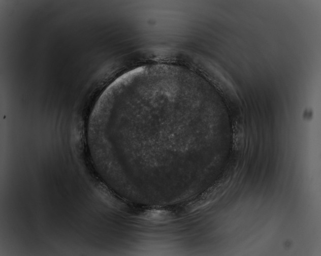 X0000102860748200809081306