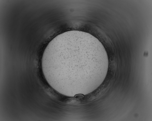 X0000102860750200809081306