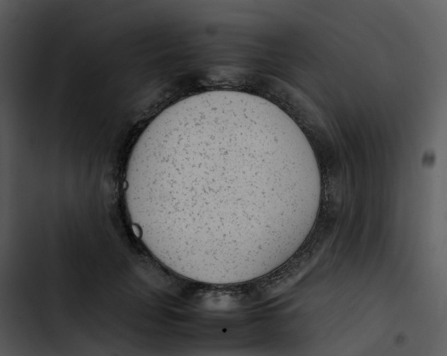 X0000102860751200809081306