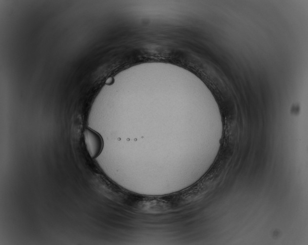 X0000102860752200809081306