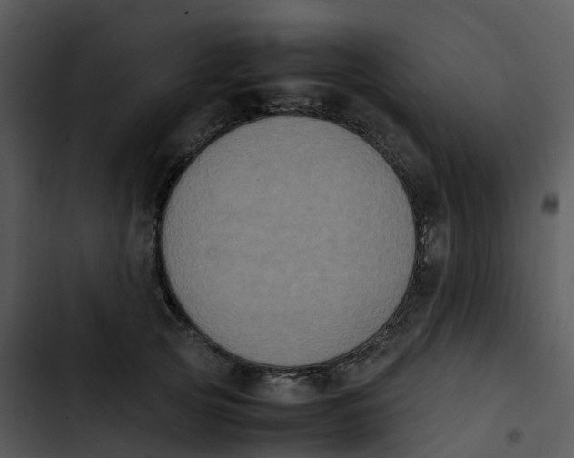 X0000102860753200809081306