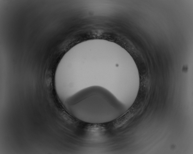 X0000102860754200809081306