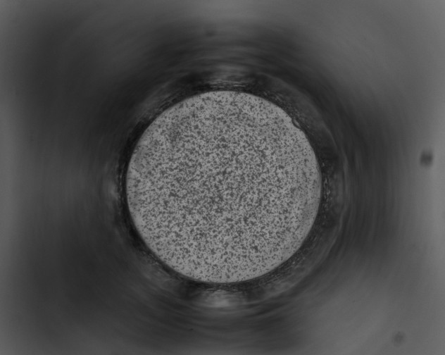 X0000102860755200809081306