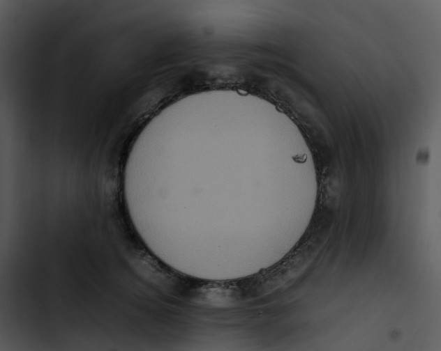 X0000102860756200809081306