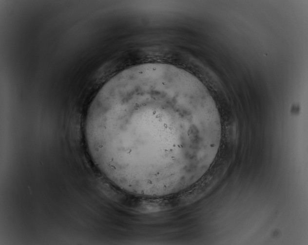 X0000102860757200809081306